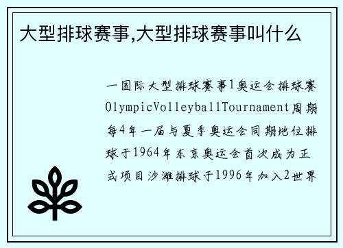 大型排球赛事,大型排球赛事叫什么